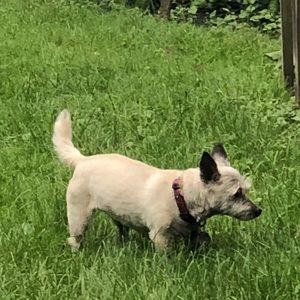 Meet your Posher, Lily